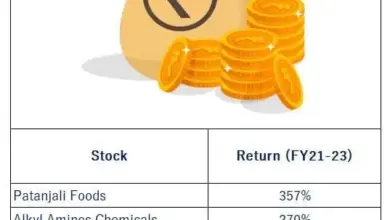 multibagger-stocks-returns-ramayana