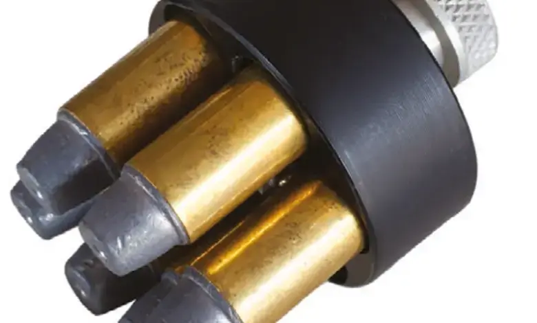 murder-by-police-officer-in-love-marriage