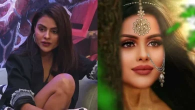 naagin-7-serial-closure-issues