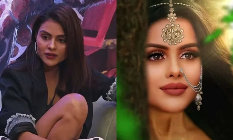 naagin-7-serial-closure-issues