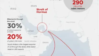 navigation-freedom-hormuz-strait-india-un