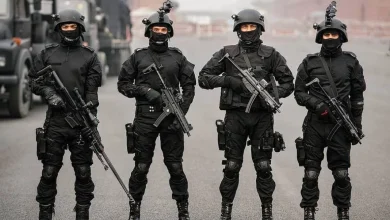 new-guardian-for-india-borders