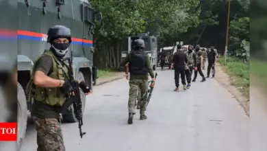 niacourt-sentences-lashkar-terrorists