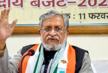 nitish-kumar-anand-mohan-nda-warning