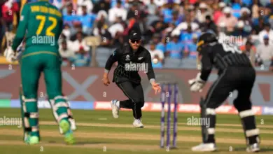 nz-vs-sa-5th-t20i-nick-kelly-catch