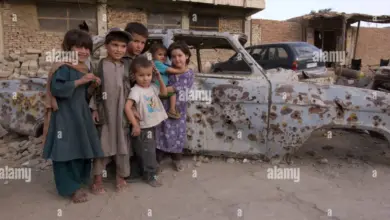 paintings-of-girls-affected-by-war