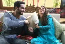 pakistani-actress-husband-lift