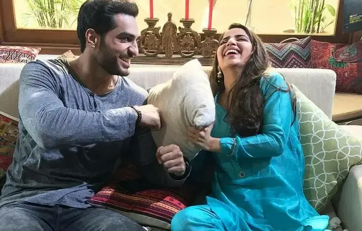 pakistani-actress-husband-lift