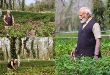 pm-modi-selfie-tea-garden-assam