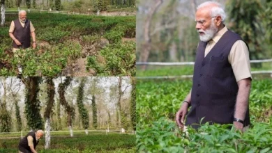 pm-modi-selfie-tea-garden-assam