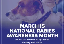 rabies-dangerous-nearly-incurable-disease