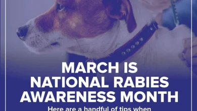 rabies-dangerous-nearly-incurable-disease