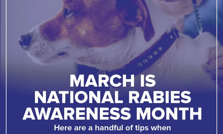 rabies-dangerous-nearly-incurable-disease