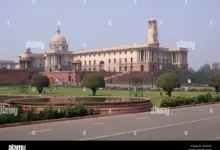 raghav-chadha-sayoni-ghosh-controversy