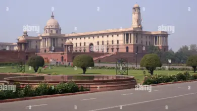 raghav-chadha-sayoni-ghosh-controversy