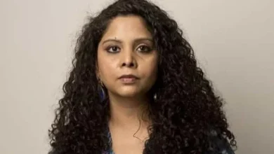 rana-ayub-hindu-deities-post-case