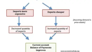 rupee-fall-rbi-response