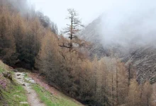 sai-sudharshan-ipl-record-rajasthan