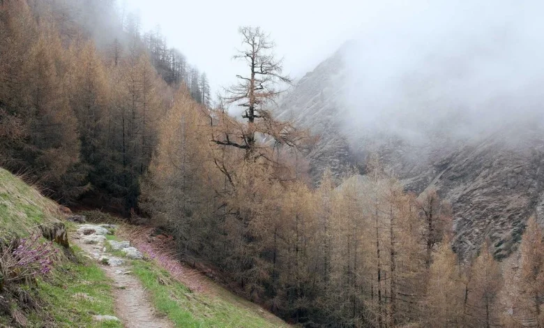 sai-sudharshan-ipl-record-rajasthan