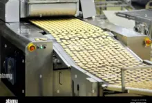 scientist-selling-bakery-products-gurugram