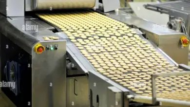 scientist-selling-bakery-products-gurugram