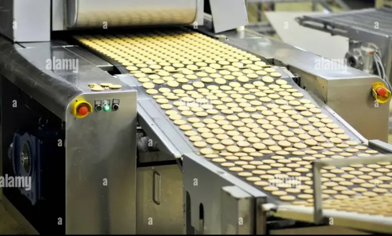 scientist-selling-bakery-products-gurugram