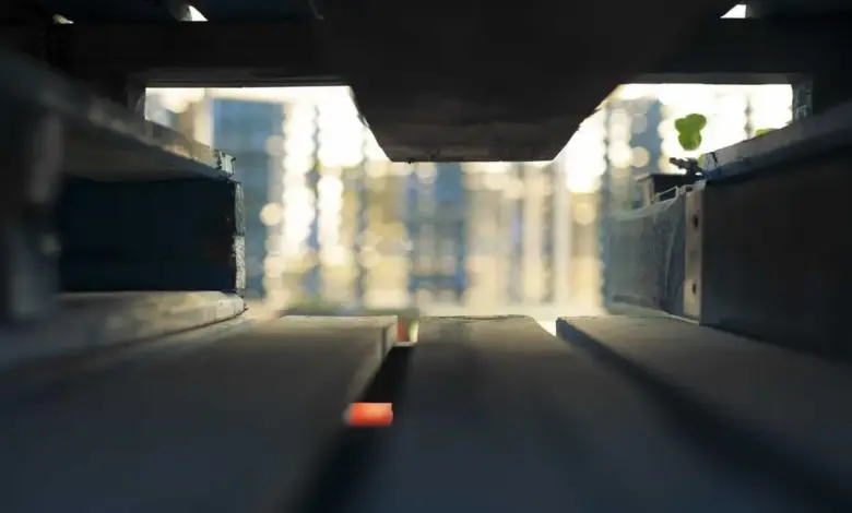 shahrukh-son-aryan-viral-video