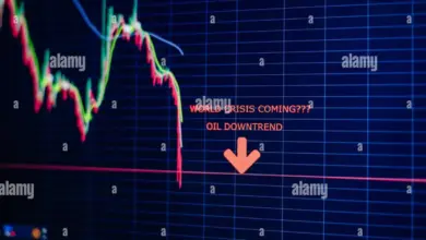 share-market-today-highlights