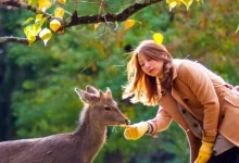 shreyas-iyer-bcci-fine-pbks-team-punishment