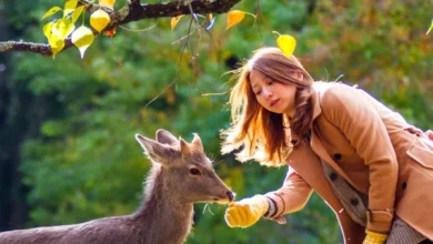 shreyas-iyer-bcci-fine-pbks-team-punishment