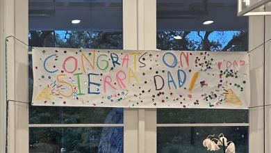 sierra-legend-return-company-plan