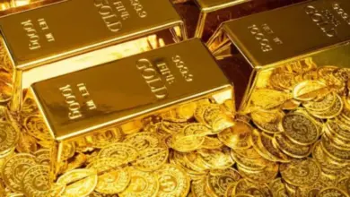 small-country-buys-20-tons-gold