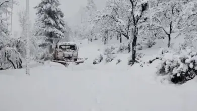 snowfall-rain-weather-update