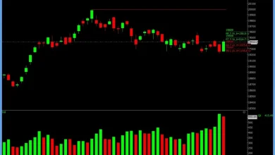 stock-market-recovery-sensex-nifty