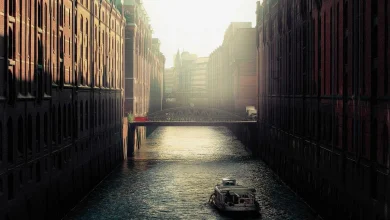 suryakumar-yadav-dance-video