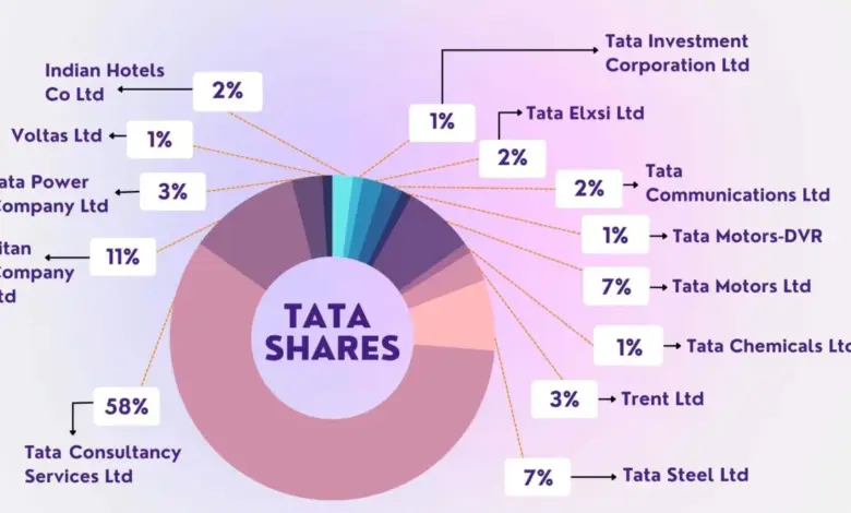 tata-group-stocks-investor-concerns