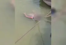 teenager-bitten-by-snake-ganga