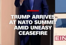 trump-exit-nato-paper-tiger