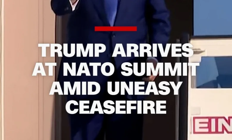 trump-exit-nato-paper-tiger