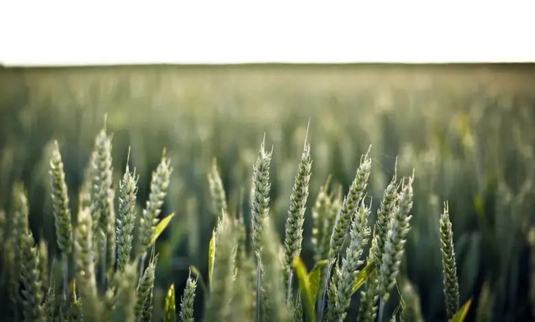 trump-iran-nuclear-deal-warnings