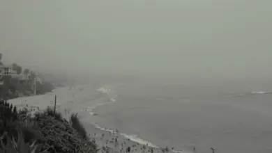 uae-leaves-opec-impact-analysis