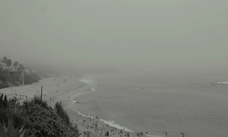 uae-leaves-opec-impact-analysis