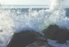 uae-leaving-opec-impact-on-india-pakistan