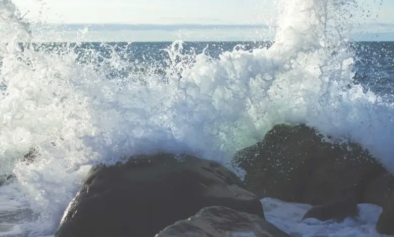 uae-leaving-opec-impact-on-india-pakistan