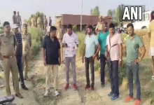 up-woman-attacked-by-neighbor