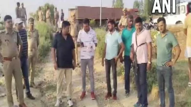 up-woman-attacked-by-neighbor