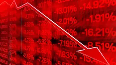 upper-circuit-share-price-falls