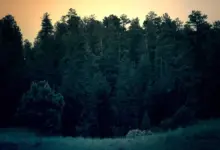 us-iran-war-military-options