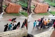 viral-video-brother-sister-skeleton