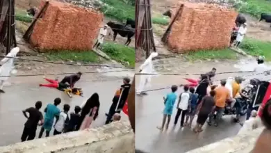 viral-video-brother-sister-skeleton